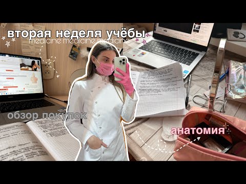 Видео: вторая неделя учёбы в медицинском, обзор покупок, первые зачёты, учёба до ночи