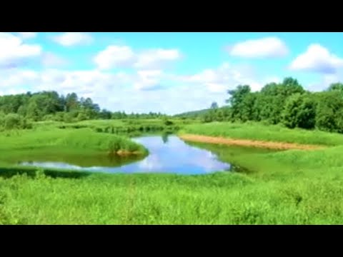 Видео: РЫБАЛКА НА РЕКЕ В ПСКОВСОЙ ОБЛАСТИ