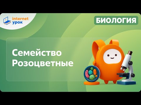 Видео: Семейство Розоцветные. Видеоурок по биологии 6 класс