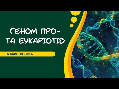 Видео: Біологія 9 клас  Геном про-  та еукаріотів