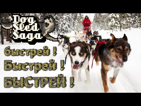 Видео: Dog Sled Saga - Обзор игр - Первый взгляд | быстрей ! Быстрей ! БЫСТРЕЙ !