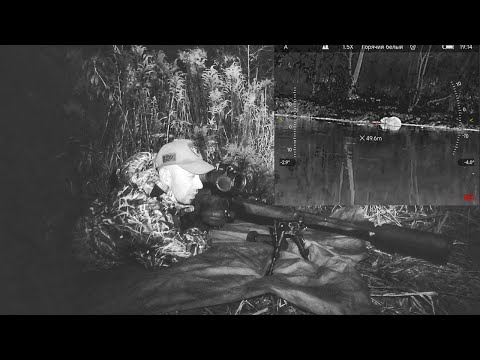 Видео: НОЧНАЯ ОХОТА НА БОБРА