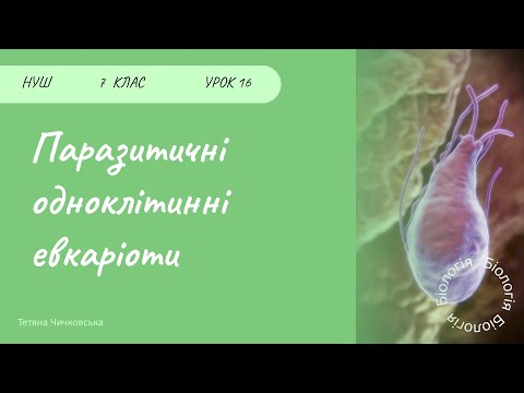 Видео: Паразитичні одноклітинні організми