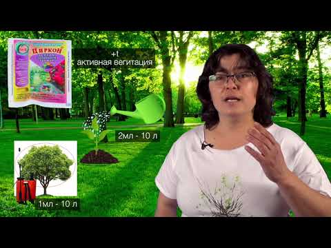 Видео: Циркон и Эпин - антистрессы для растений.