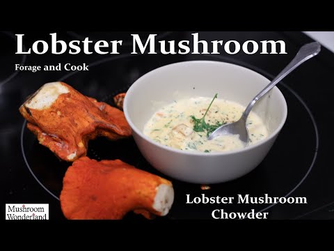 Видео: Уха из лобстера и грибов — из леса на стол