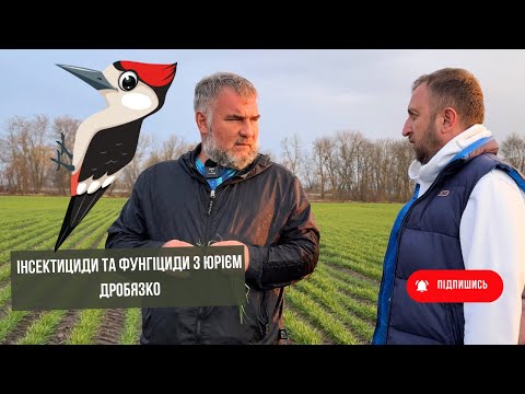 Видео: #211 🧪 Інсектициди та фунгіциди: ефективне застосування в полі розбираємо з Юрієм Дробязко 🔥