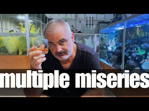 Видео: 5 причин, по которым мои аквариумы заставляют меня пить