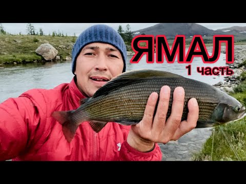 Видео: на ЯМАЛ за сибирским ХАРИУСОМ 2022 #1