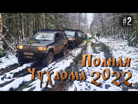 Видео: ПОЛНАЯ ЧУХЛОМА 2022 #2.  АНТОШКИНА НОРКА. ПОТАПОВСКОЕ. ИЛЬИНСКОЕ. ЭКСПЕДИЦИЯ КОСТРОМСКАЯ область