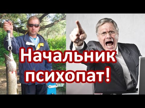 Видео: Начальник психопат. Анализ. Часть первая.