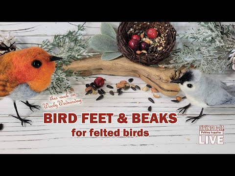 Видео: #needlefelting LIVE: Делаем лапки, ноги и клювы для валяных птиц (видеоурок)