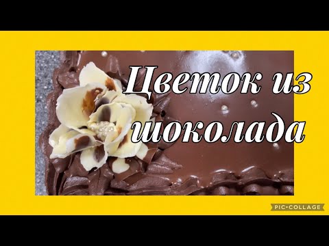 Видео: Как сделать цветок из шоколада? Легко и просто,подробный мастер класс