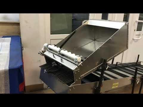 Видео: мини-драга Дипсис-50/50. 2020г