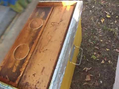 Видео: Состояние семей на сегодня и обработка от клеща .