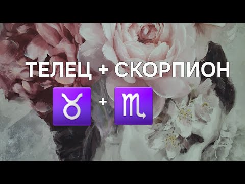 Видео: ТЕЛЕЦ И СКОРПИОН. ИХ СОВМЕСТИМОСТЬ. ♉️💝♏️