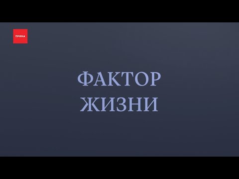 Видео: «Фактор жизни»: гемофилия