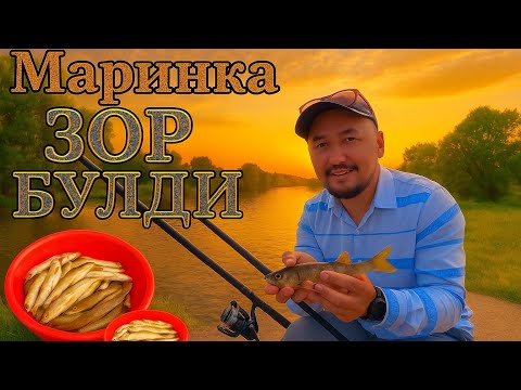 Видео: Бу яхширок форматда олинган Версияси маринка ови 15 июля 2025 г.