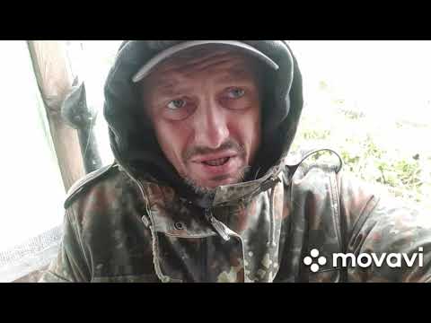 Видео: В 52 года, впервые попробовал PVP. trip report на выходе.