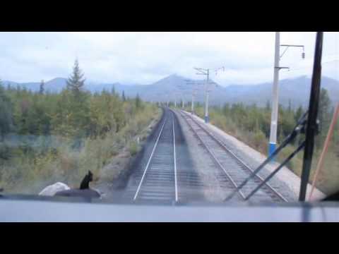 Видео: КРАСНОЯРСК АБАКАН