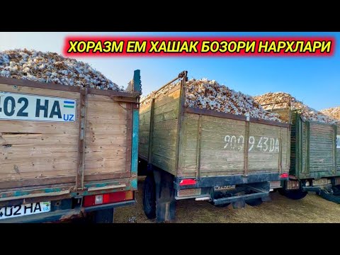 Видео: Хоразм ем хашак бозор нархлари  17-ноября 2024 г.