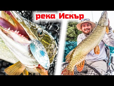 Видео: Ловя в ЛЕГЕНДАРЕН ТАЙНСТВЕН КАНЬОН! РЕЧНИ ЗВЕРОВЕ и БЕЗМИЛОСТНИ АТАКИ! Риболов на щука на река Искър