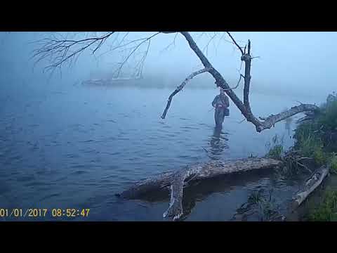 Видео: Рыбалка на Дальнем востоке! р. Соболевка! Тихоокеанский лосось! Gad Fair, Daiwa 17 Exceler LT 2500XH