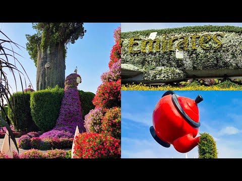 Видео: Путешествую одна☆Два дня в одном видео☆Miracle Garden