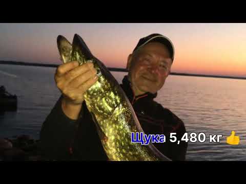 Видео: Рыбалка на реке Свирь. Ивинские разливы 👍