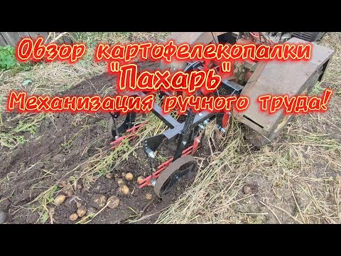 Видео: Обзор картофелекопалки "Пахарь". Малая механизация ручного труда!