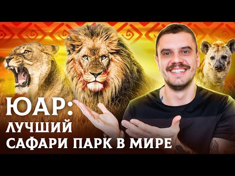 Видео: ЮАР Крюгер парк: Лучший дикий сафари парк в мире