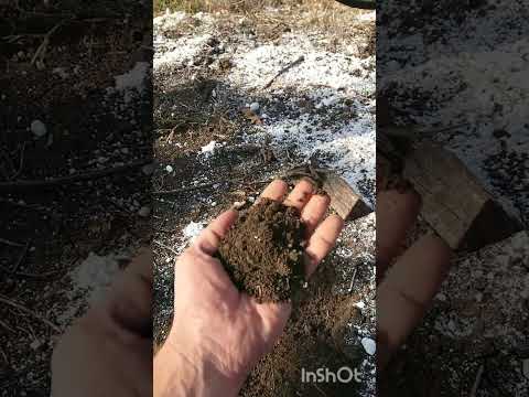 Видео: Гипсование почвы. Время внесения и дозировка.
