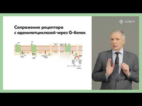 Видео: Передача сигнала в клетку