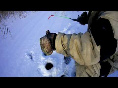 Видео: Щука на раттлин зимой