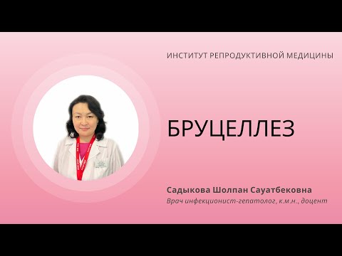 Видео: БРУЦЕЛЛЕЗ