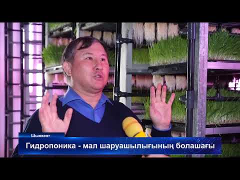 Видео: 12 03 18 ГИДРОПОНИКА