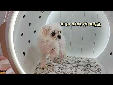 Видео: Я использовал сухую комнату в пансионе стоимостью 1,8 миллиона вон... [2-я серия]