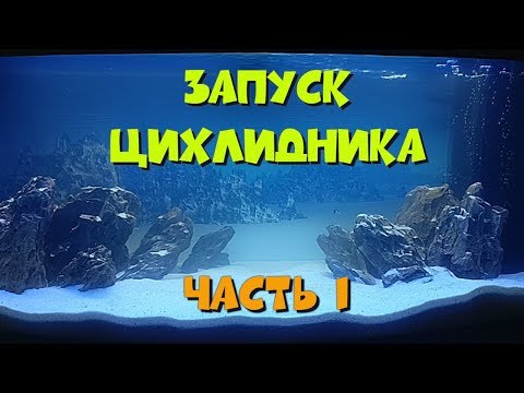 Видео: Запуск цихлидника. Часть 1