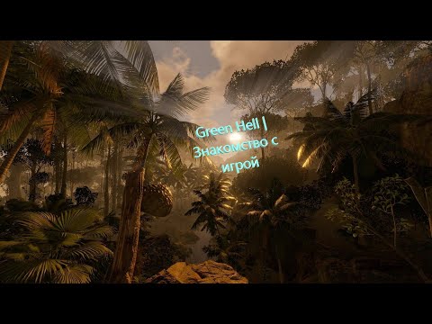 Видео: Green Hell | Знакомство с игрой