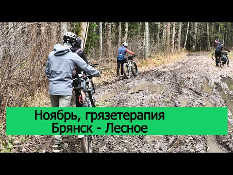 Видео: На велосипедах в ноябре Брянск - Лесное. Осенняя грязетерапия