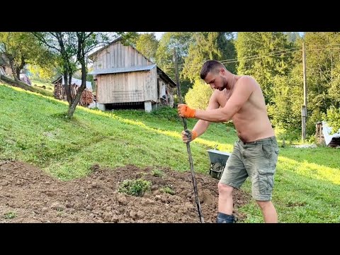 Видео: Жизнь и работа в деревне. Ремонт старого подвала.