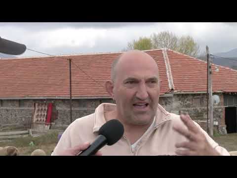 Видео: Нападната жена от вълк