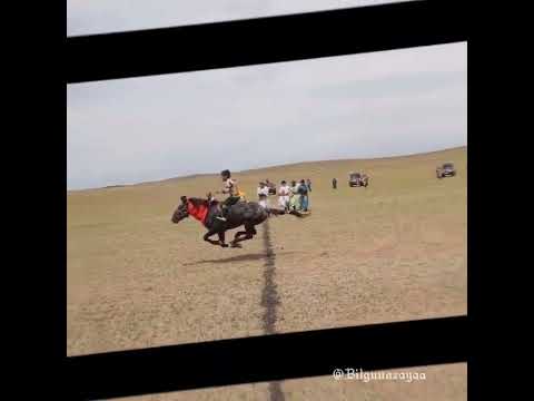 Видео: Монгол хүний хиймор сэргээсэн сайхан бичлэг