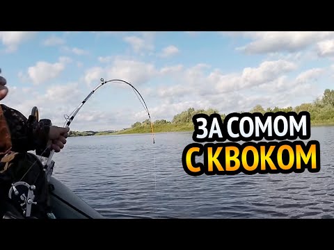 Видео: РЫБАЛКА на СОМА С КВОКОМ. Крутые подсечки, эмоции и адреналин. Рыбалка в Беларуси.