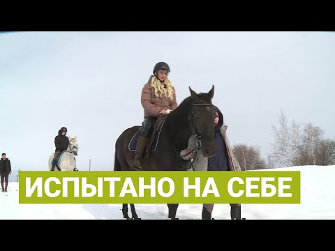 Видео: Ипотерапия: как работает лечение лошадьми