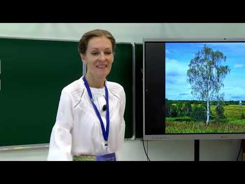 Видео: Конкурсное испытание «Урок», Григорьева Д. В., 2024