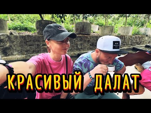 Видео: ДАЛАТ. Вьетнам. Влог #2