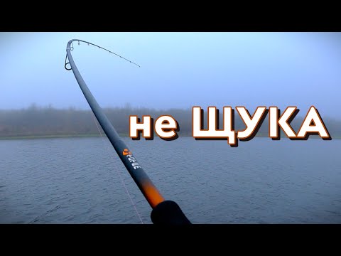 Видео: В Листопаді ЦЯ РИБА мені ще не клювала. Ловля НА СПІНІНГ