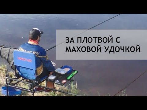 Видео: Плотва и елец на маховую удочку