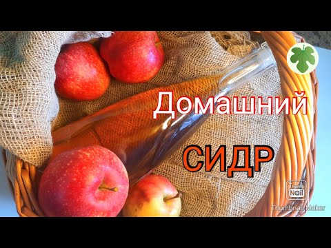 Видео: Как мы готовили яблочный СИДР 😉