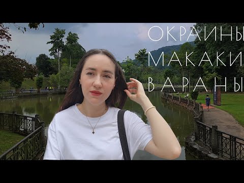 Видео: Жизнь в Куала-Лумпуре малайзия ВЛОГ | парк TTDI | Окраины Куала-Лумпура